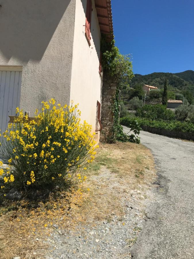 Lucéram La Ferme Des Cailletiers Chez Marco 빌라 외부 사진