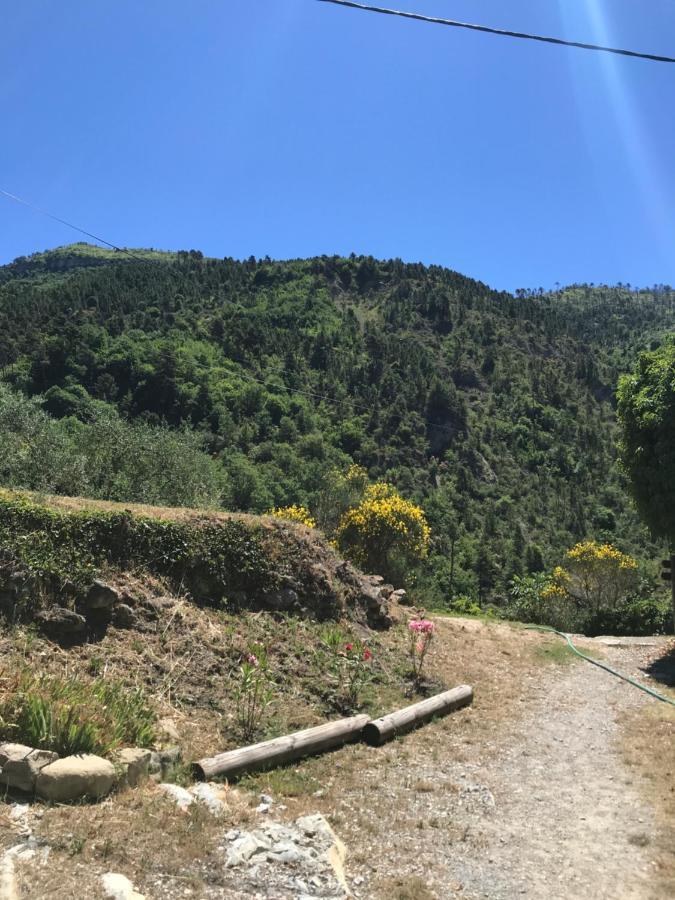 Lucéram La Ferme Des Cailletiers Chez Marco 빌라 외부 사진