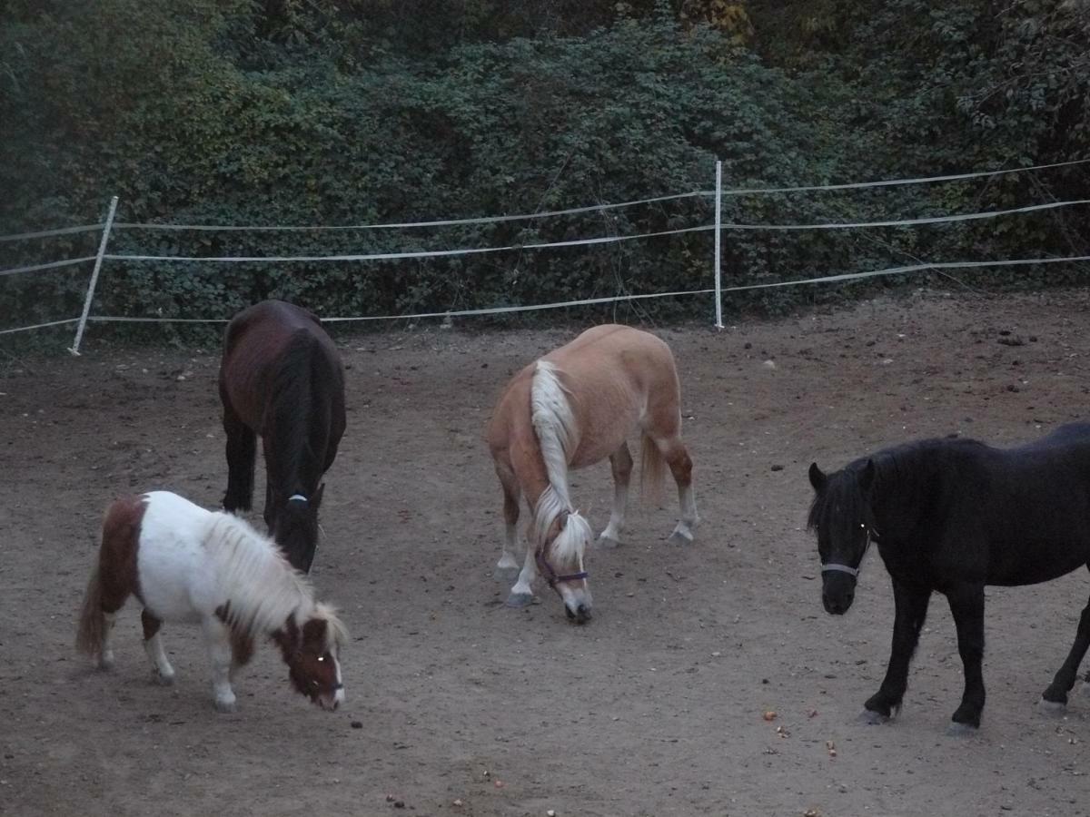 Lucéram La Ferme Des Cailletiers Chez Marco 빌라 외부 사진