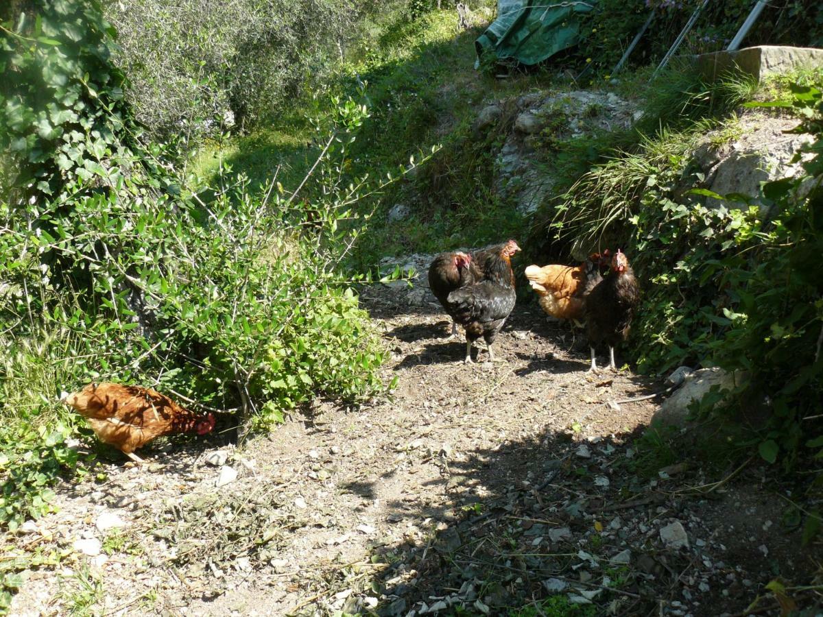 Lucéram La Ferme Des Cailletiers Chez Marco 빌라 외부 사진